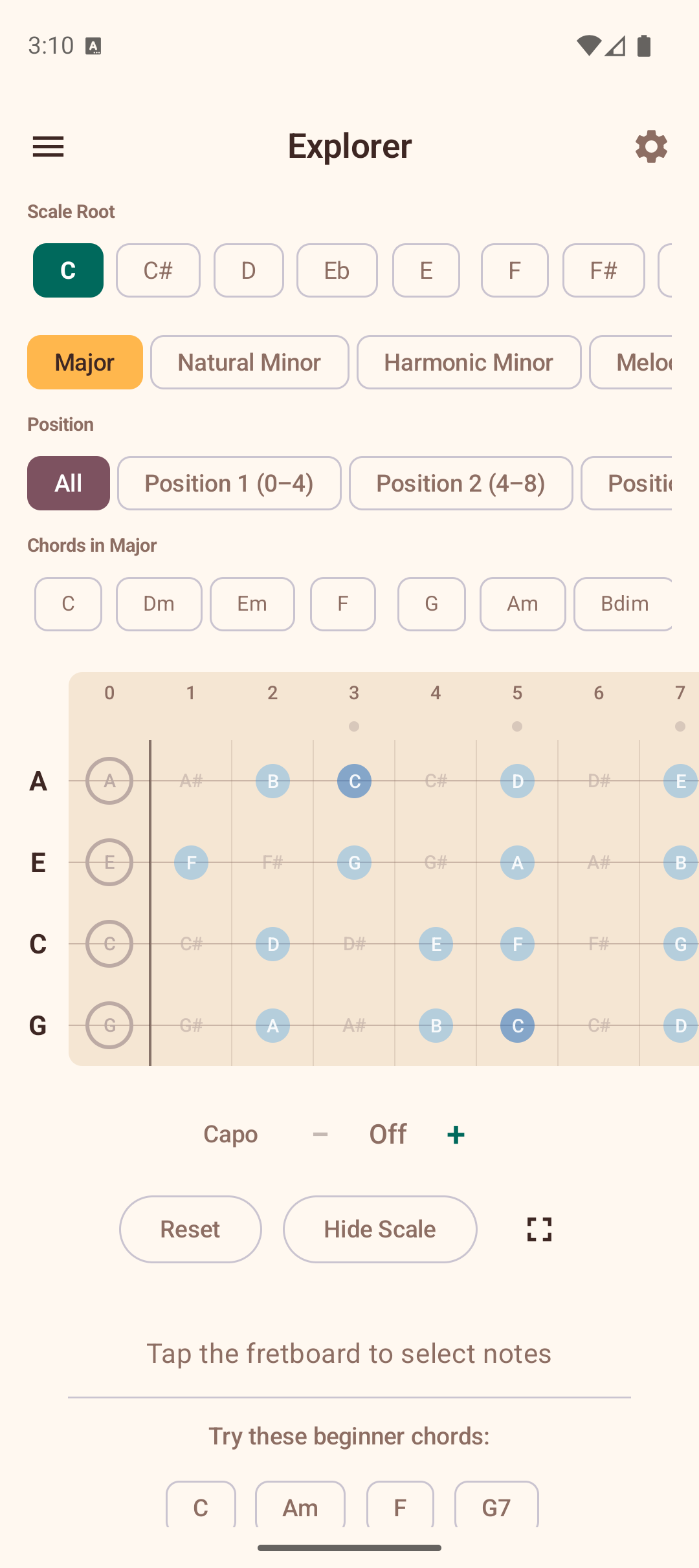Scale overlay screen
